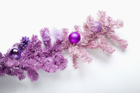 Magenta tree branch with isolated on white.の写真素材