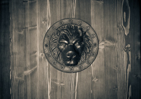 brass lion head on the door black and white.の写真素材