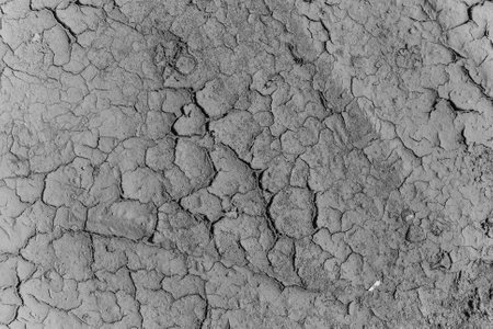 Close up texture drought parched earth.