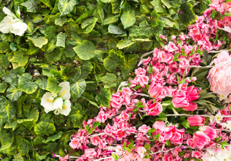 Bunch of flowers background textureの写真素材