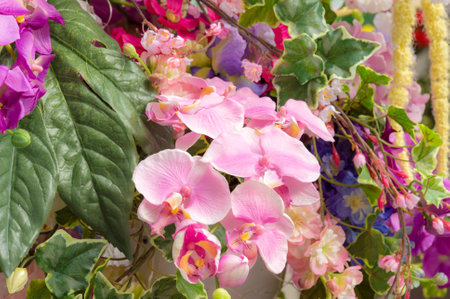 Bunch of flowers background textureの写真素材