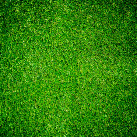 Green grass texture from a soccer fieldの写真素材