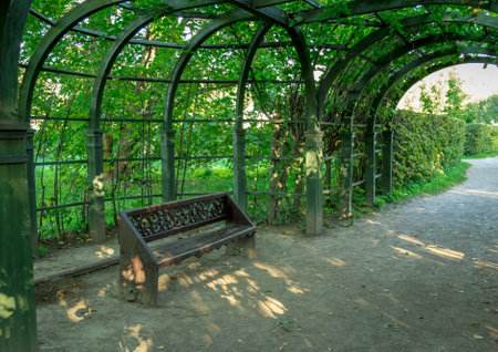 Bench placed under the arc of trees in the park.の写真素材