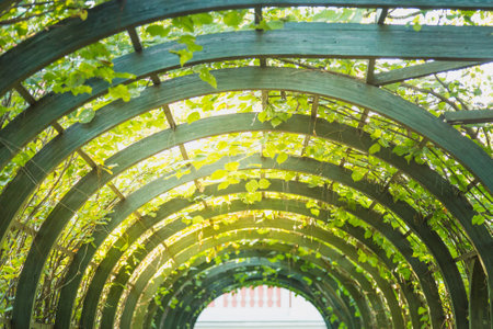 scenic artificial arc in park.の写真素材