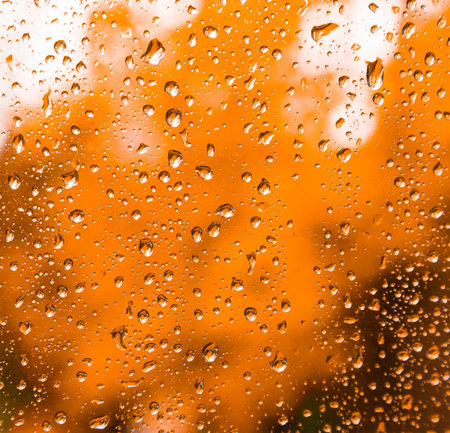 Fresh rain splash drops on a window with background nature in Blurの写真素材