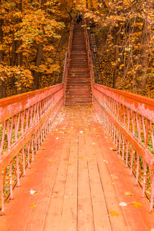 Wooden stairs with leaves in the autumn forest.