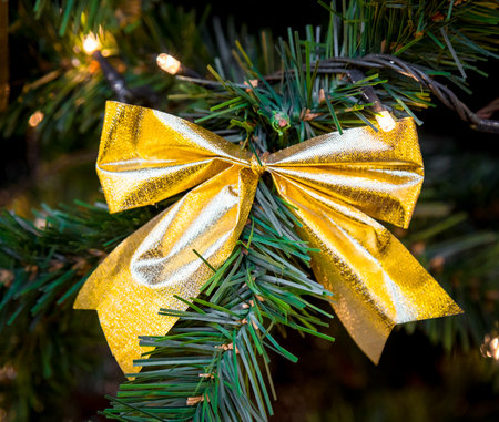 Christmas decorations on the branches of fir tree.の写真素材