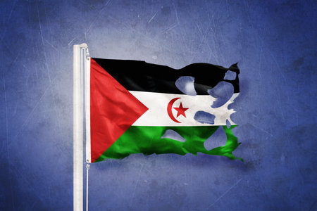 Torn flag of Sahrawi Arab Democratic Republic flying against grunge backgroundの写真素材