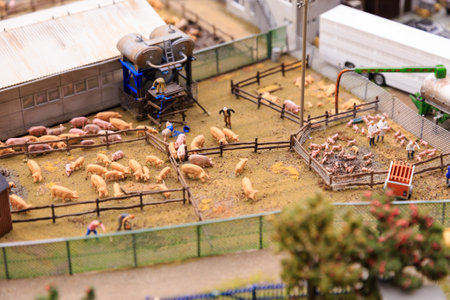 Saint Petersburg, Russia - May 13, 2017: Fragment Big Grand Maket Russia. Grand Maket Russia the worlds largest model of Russia from Kaliningrad to the Far Eastのeditorial素材