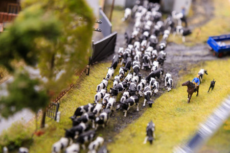 Saint Petersburg, Russia - May 13, 2017: Fragment Big Grand Maket Russia. Grand Maket Russia the worlds largest model of Russia from Kaliningrad to the Far Eastのeditorial素材