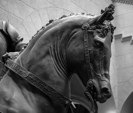 Bronze horse head on a white backgroundの写真素材