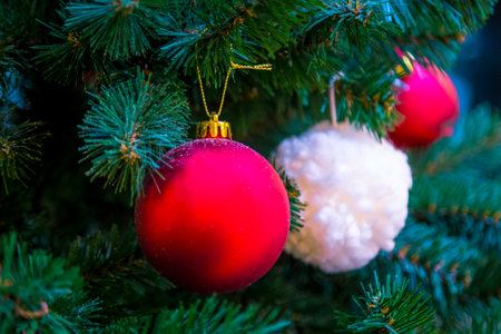 Christmas decorations on the branches of fir treeの写真素材