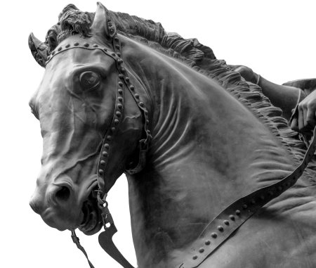 Bronze horse head isolated on a white backgroundの写真素材