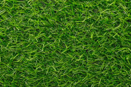Green grass texture background patternの写真素材