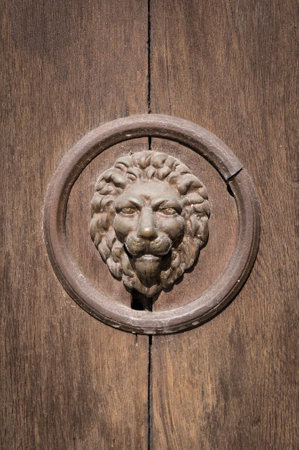 Cast iron door gate design with lions headの写真素材
