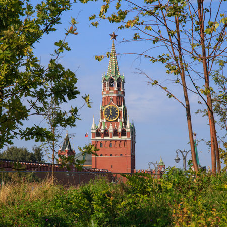 Green trees and grass on the background of the Moscow Kremlin and the red square in the park...