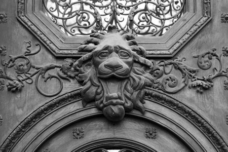 brass lion head on the door, black and whiteの写真素材