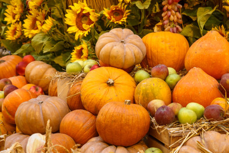 Orange pumpkins on display at the farmers market. Harvesting and Thanksgiving conceptの写真素材