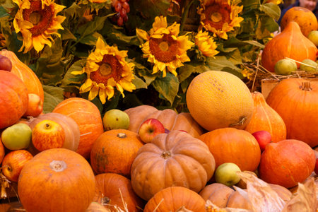 Orange pumpkins on display at the farmers market. Harvesting and Thanksgiving concept.の写真素材