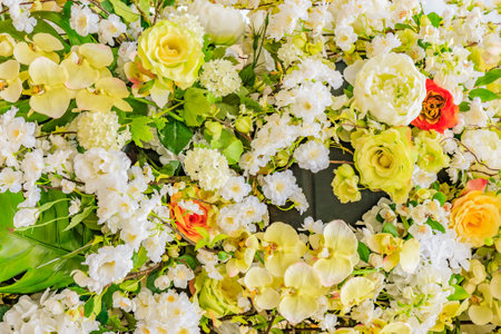 Abstract background of flowers. Close-upの写真素材