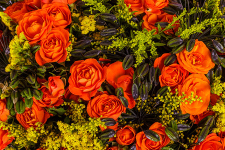 Abstract background of flowers. Close-up