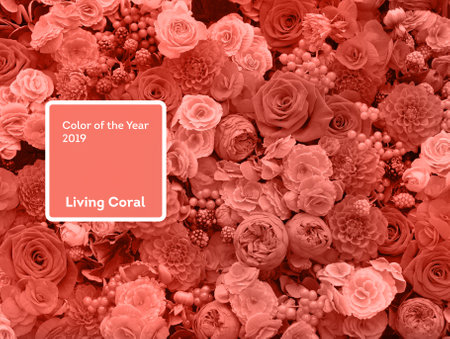 Living Coral color of the Year 2019. Beautiful flowers background with coral in trendy colorの写真素材