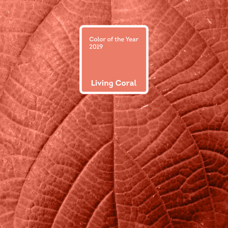 Living Coral color of the Year 2019. Leaves of palm tree with coral in trendy colorの写真素材