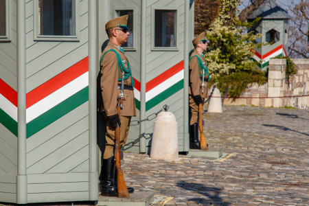 Budapest, Hungary, March 22 2018: Armed presidential guard on the Buda Hill near the residence of the president of Hungary. Guard of honor near the Presidential Palace - the national symbol of Budapestのeditorial素材
