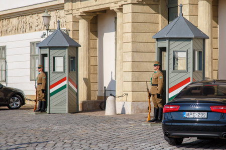 Budapest, Hungary, March 22 2018: Armed presidential guard on the Buda Hill near the residence of the president of Hungary. Guard of honor near the Presidential Palace - the national symbol of Budapestのeditorial素材