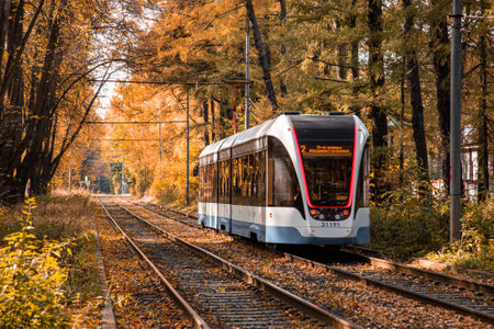 Moscow, Russia. October 2, 2020: Tram rails in the corridor of the yellow autumn trees. Fall forest among which goes a tram. Railway through the parkのeditorial素材
