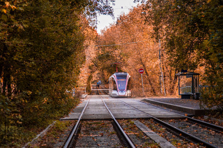 Moscow, Russia. October 2, 2020: Tram rails in the corridor of the yellow autumn trees. Fall forest among which goes a tram. Railway through the parkのeditorial素材