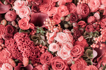 Summer blossoming delicate petals on blooming flowers festive background, pastel and soft bouquet floral cardの写真素材