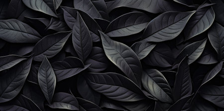 closeup nature view Black leaf and palms background. Flat lay, dark nature concept, tropical leaf.の素材