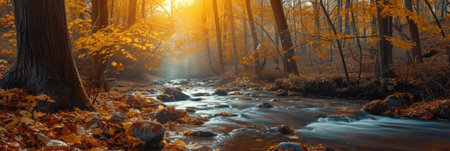 Scenic landscape, river in gold sunlight autumn forest, amazing colorful scenery, fallen leaves on big stones near fast stream. Mountain stream in autumn, stream in the forest.の素材