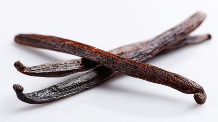 Two aromatic vanilla beans cross on a clean white background.の素材