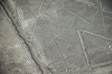 The famous view of The Spider picture in Nazca, Peruの写真素材