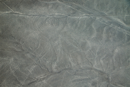 The famous view of The Monkey in Nazca, Peruの写真素材