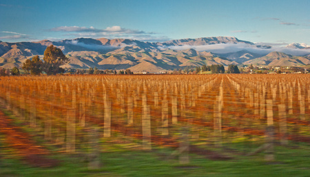 Magical countryside landscape surrounding town of Blenheim, New Zealands scenery, typical zelandian viewsの写真素材