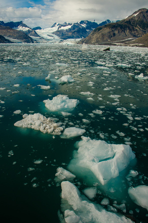 Columbia glacier in Prince William Sound, Alaskaの写真素材