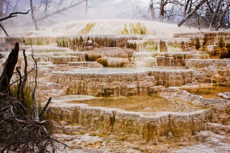 Travertin terraces near Mammoth Hot Springs in Yellowstone national park, USの写真素材