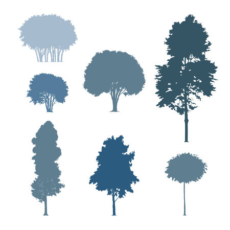 Trees silhouettesのイラスト素材