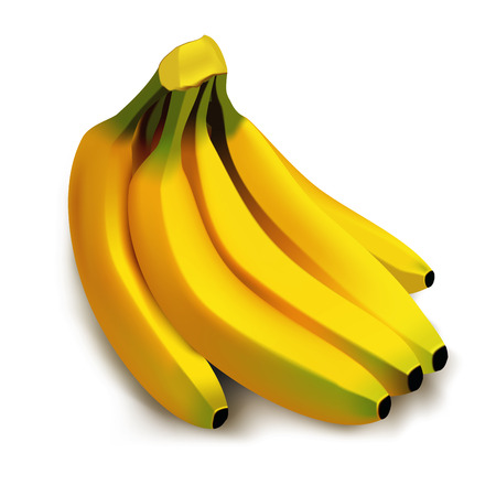Bunch of bananas isolated on white background. Vector illustrationのイラスト素材