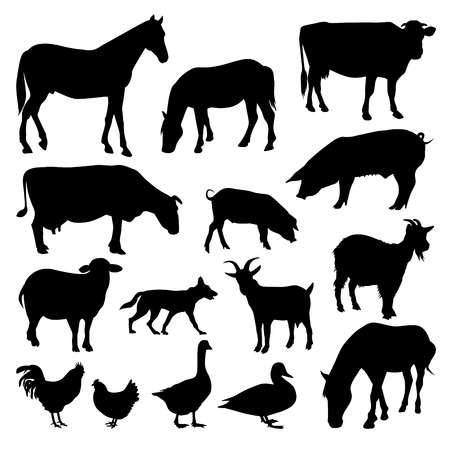 Set of farm animals isolated on a white backgrounds. Vector illustrationのイラスト素材