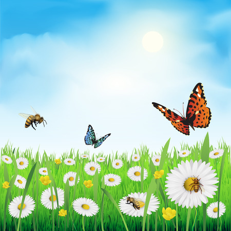 Spring flowers in a meadow. Vector illustrationのイラスト素材