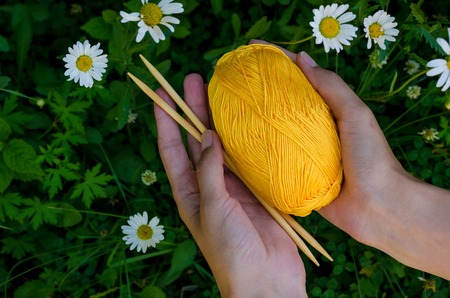 female hands holding a ball of yellow cotton yarn and knitting needles on a background of green grass and daisiesの写真素材