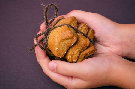 Child's hands hold Christmas homemade gingerbread cookies stack tied with brown ropeの写真素材