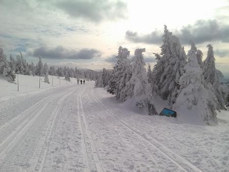 cross-countryの写真素材