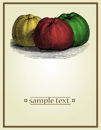 Vintage tagのイラスト素材