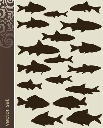 Design elementsのイラスト素材