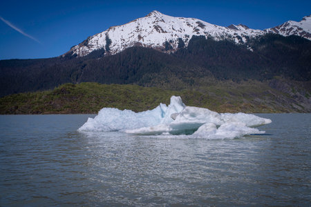 Icebergs float serenely near Mendenhall Glacier under a clear sky.の写真素材